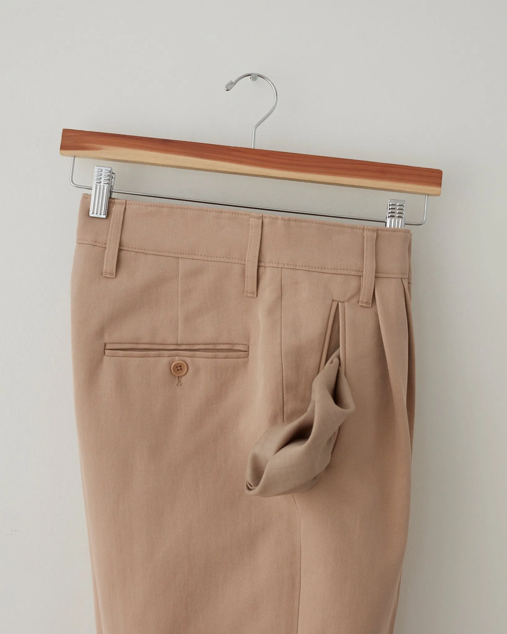 Cotton/Silk Pleat Pants