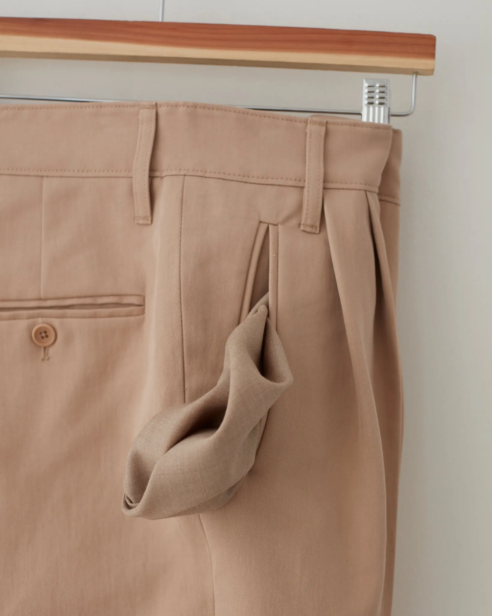 Cotton/Silk Pleat Pants