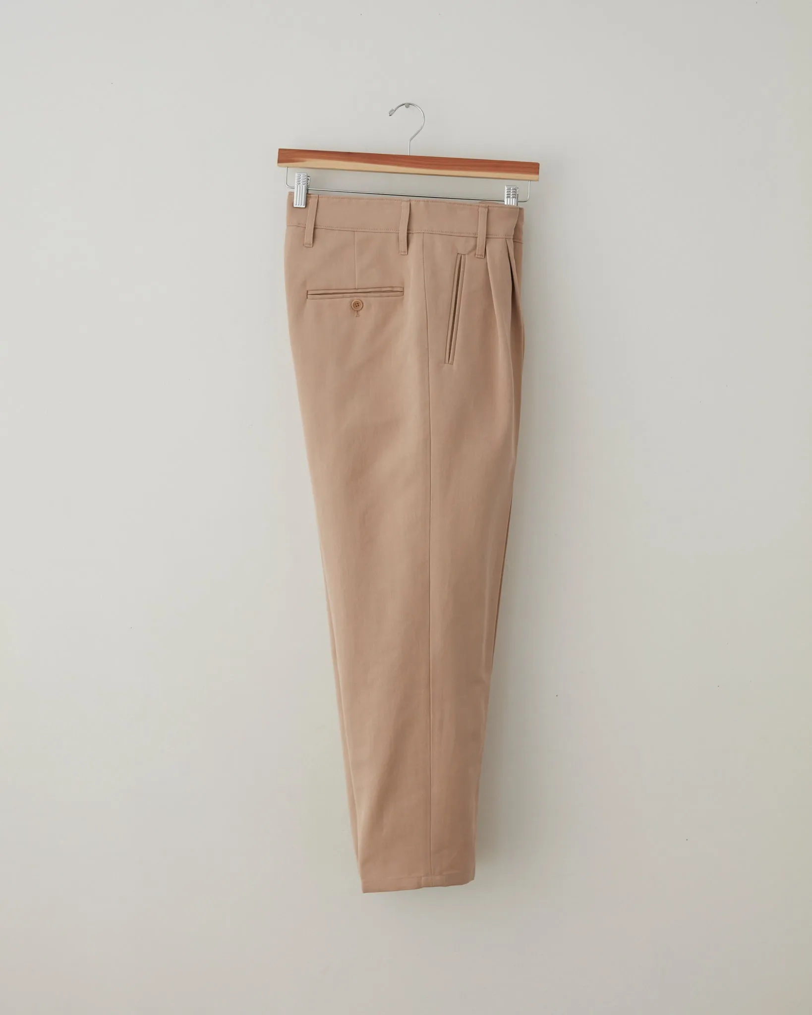 Cotton/Silk Pleat Pants