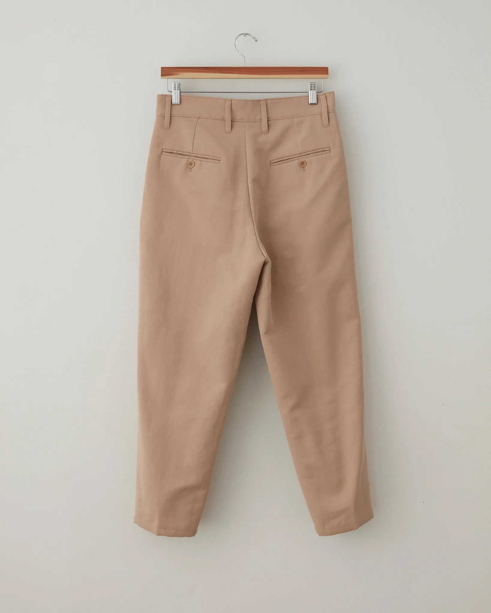 Cotton/Silk Pleat Pants